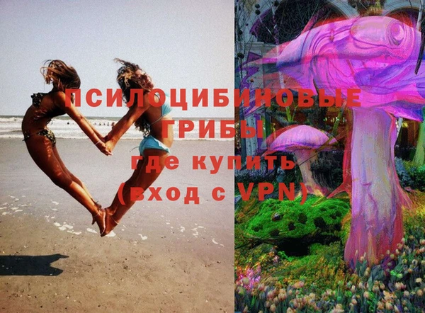 стаф Алексеевка